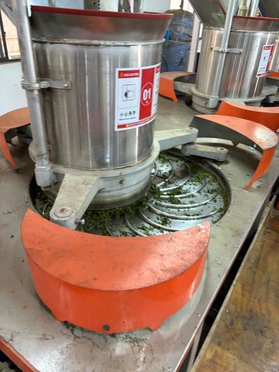 Robust Leaf Chunmee Tea | Ultra-Low Crumbs, Perfect For Continuous Hot Brewing factory