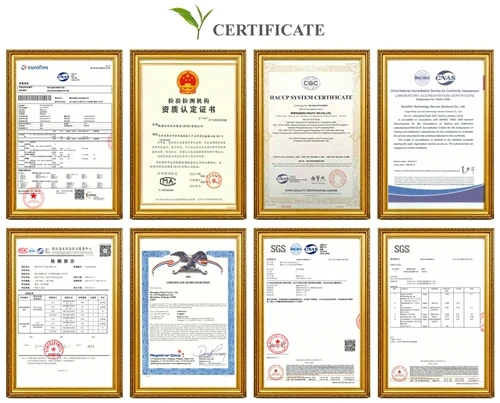 Kompletný sprievodca certifikátmi na vývoz čaju: hygienické certifikáty, fytosanitárne certifikát...